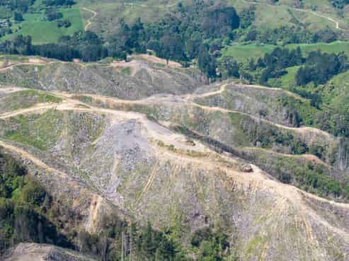 170 Mangaone North Road, Te Horo