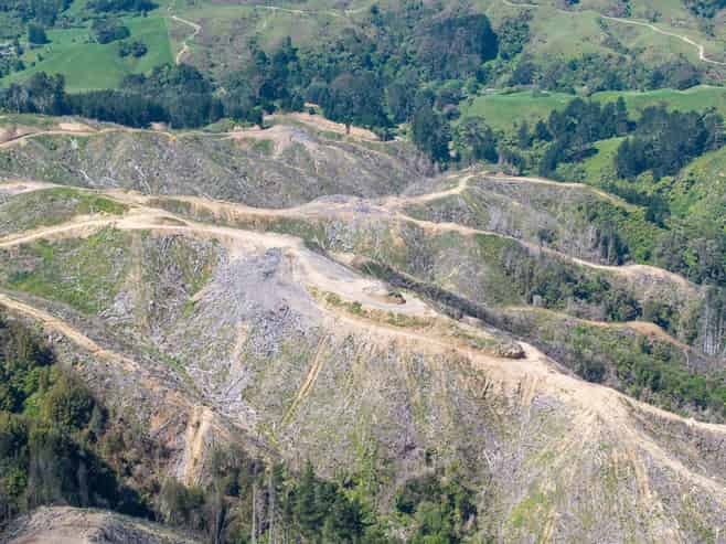 170 Mangaone North Road, Te Horo