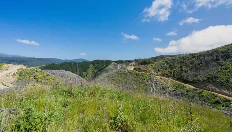170 Mangaone North Road, Te Horo