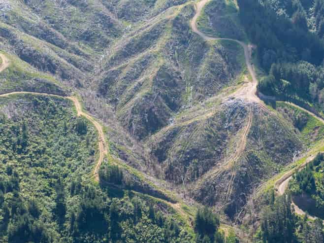 170 Mangaone North Road, Te Horo