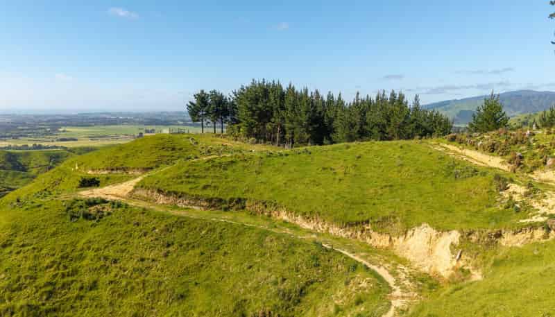 170 Mangaone North Road, Te Horo