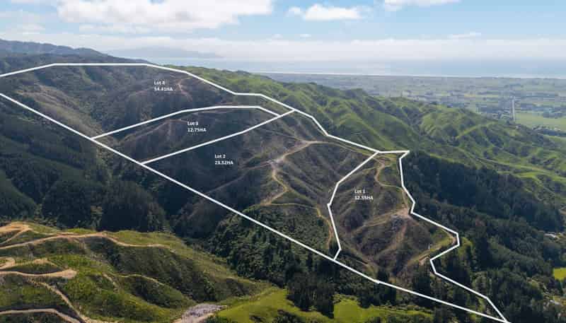 170 Mangaone North Road, Te Horo