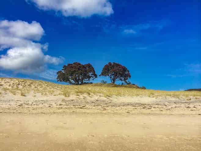 137 Sandhills Road, Great Barrier Island