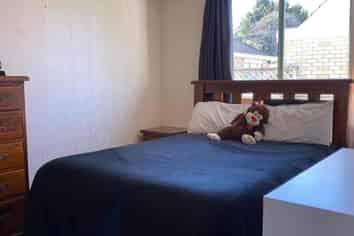 55A Moorhouse Street, Morrinsville