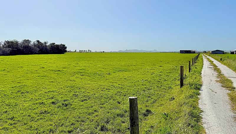  Freyberg Road, Ruawai