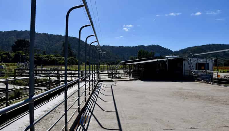 302 Kohaihai Road, Karamea