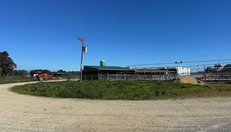 302 Kohaihai Road, Karamea