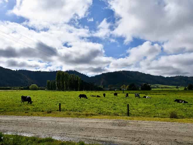 302 Kohaihai Road, Karamea