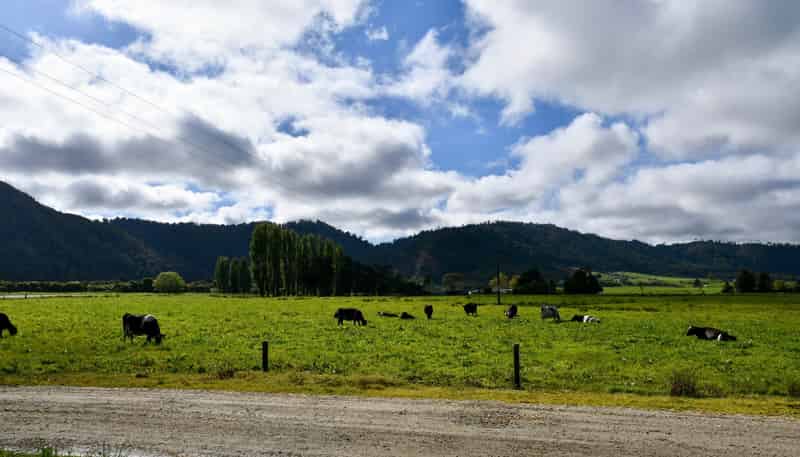 302 Kohaihai Road, Karamea