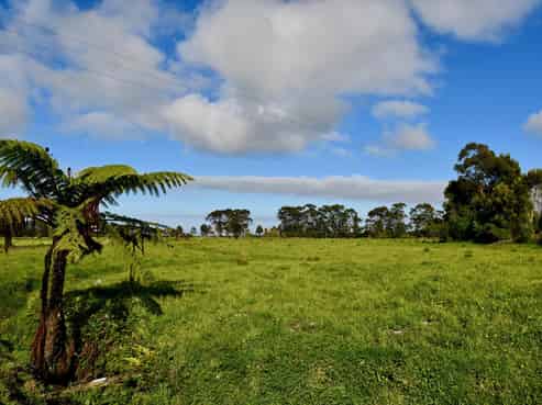 302 Kohaihai Road, Karamea