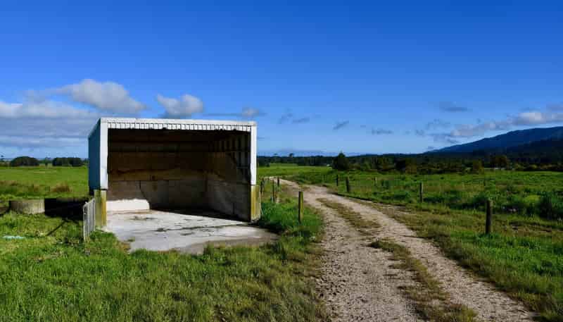 302 Kohaihai Road, Karamea