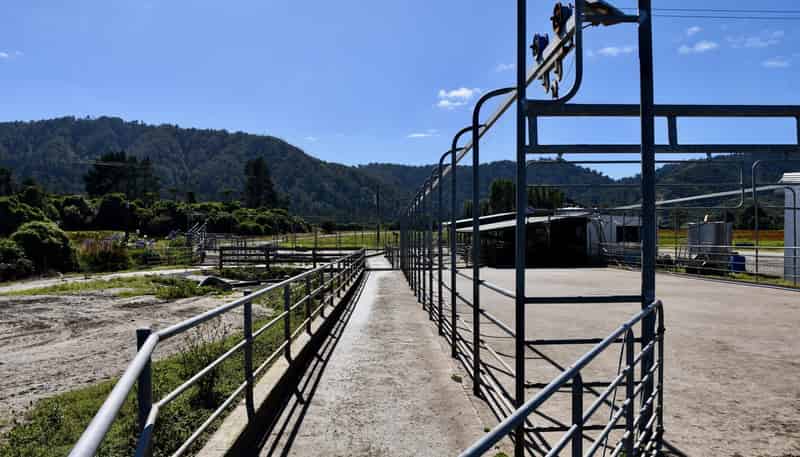 302 Kohaihai Road, Karamea