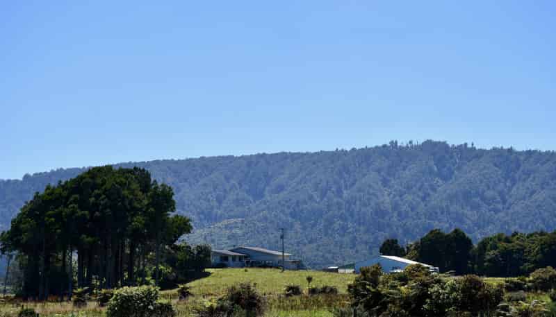 302 Kohaihai Road, Karamea