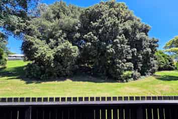 Lot 5/ 13 Torino Street, Point England