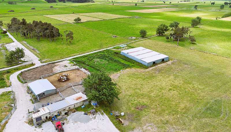 87 Tramline Road, Ruawai