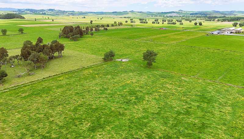 87 Tramline Road, Ruawai