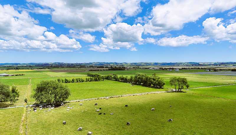 87 Tramline Road, Ruawai