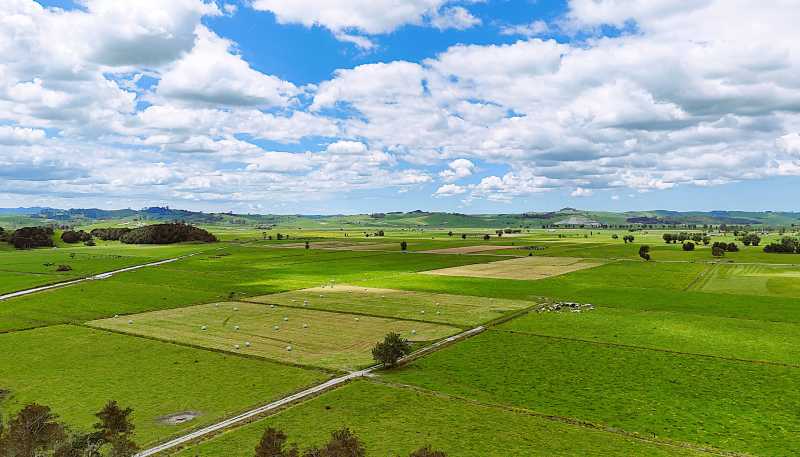 87 Tramline Road, Ruawai