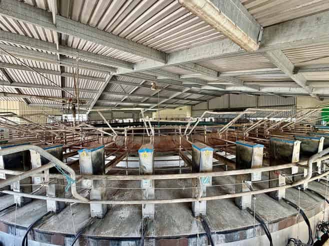 331 Simpson Road, Ruawai