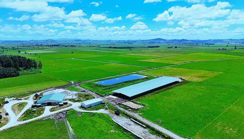 331 Simpson Road, Ruawai