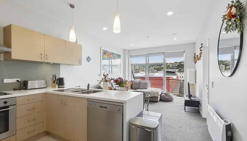 605/115 Vivian Street, Te Aro