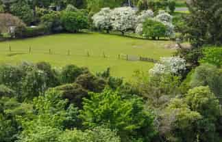 44 Crown Street, North East Valley