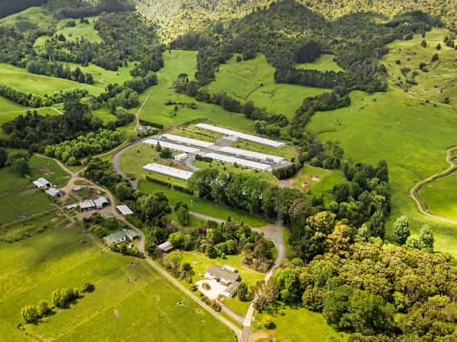 Waikato - Address withheld