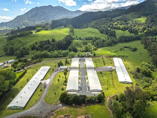 Waikato - Address withheld