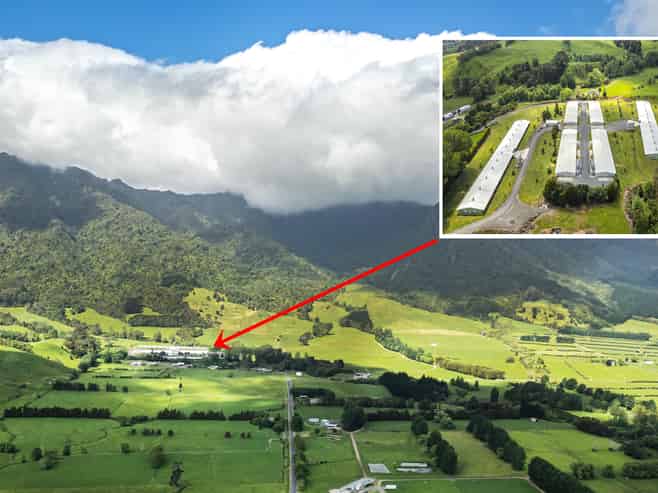 Waikato - Address withheld