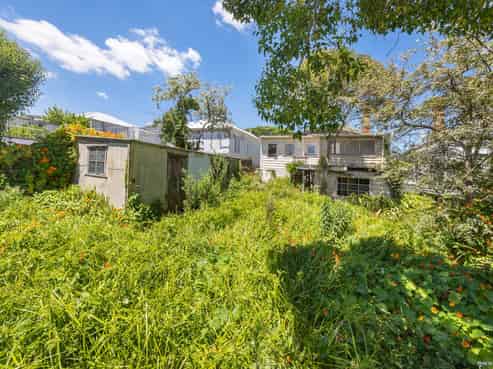 51 First Avenue, Kingsland