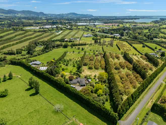 56 Thompsons Track, Aongatete