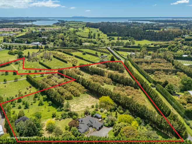 56 Thompsons Track, Aongatete