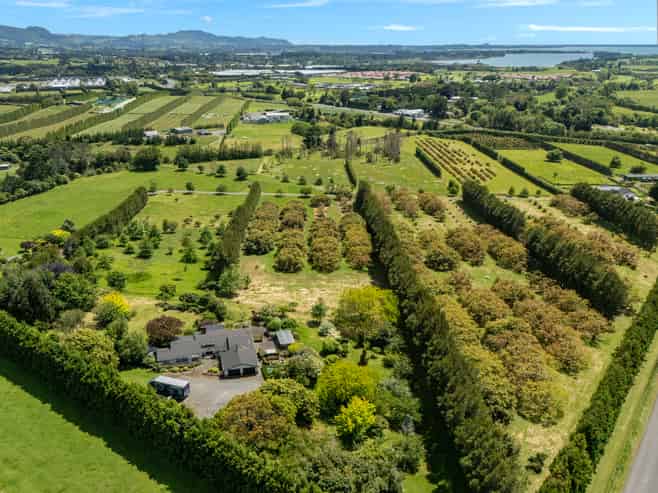 56 Thompsons Track, Aongatete