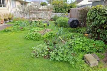 2/659 Mahoe Street, Te Awamutu