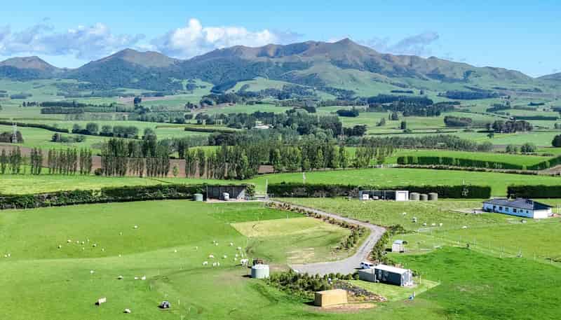 47 Humphries Road, Gore