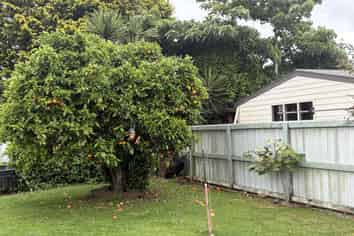 33B  Carisbrooke Street , Katikati