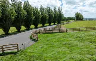 117 Manion Lane, Morrinsville