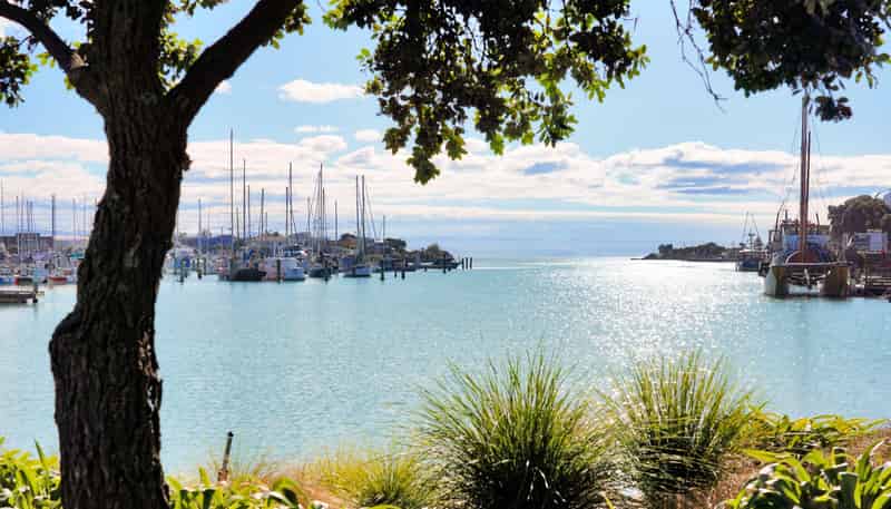 102/14D West Quay, Ahuriri