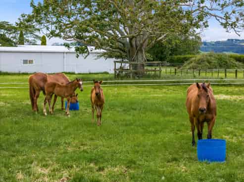 449 Fencourt Road, Cambridge
