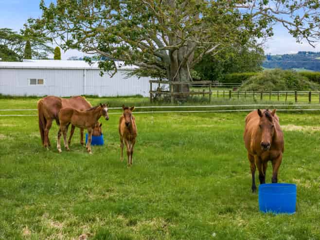 449 Fencourt Road, Cambridge