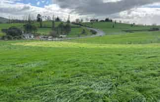 173 Ngahape Road, Te Awamutu