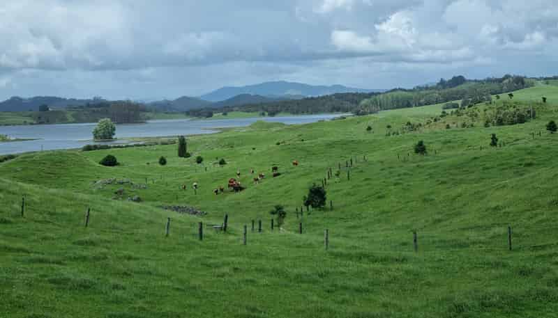 267 Ludbrook Road, Pakaraka