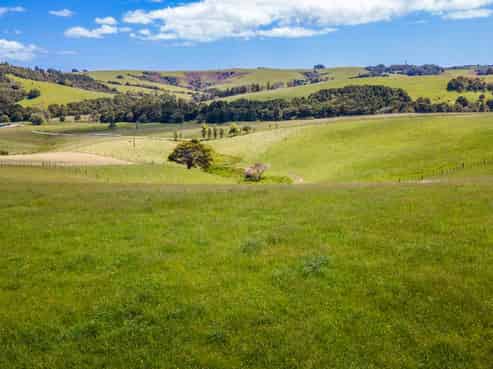 219 Tapu Bush Road, Whangaripo