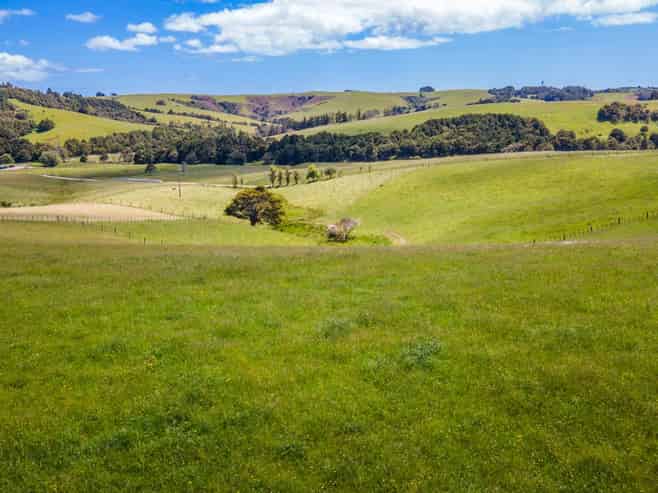 219 Tapu Bush Road, Whangaripo