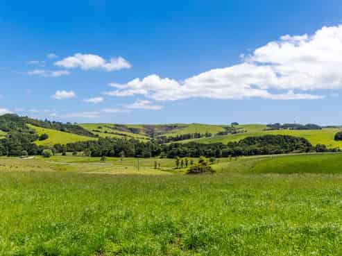 219 Tapu Bush Road, Whangaripo