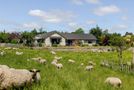578 Sandon Road, Feilding, Manawatu, Manawatu / Whanganui