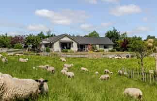 578 Sandon Road, Feilding