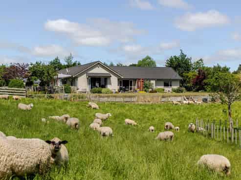 578 Sandon Road, Feilding