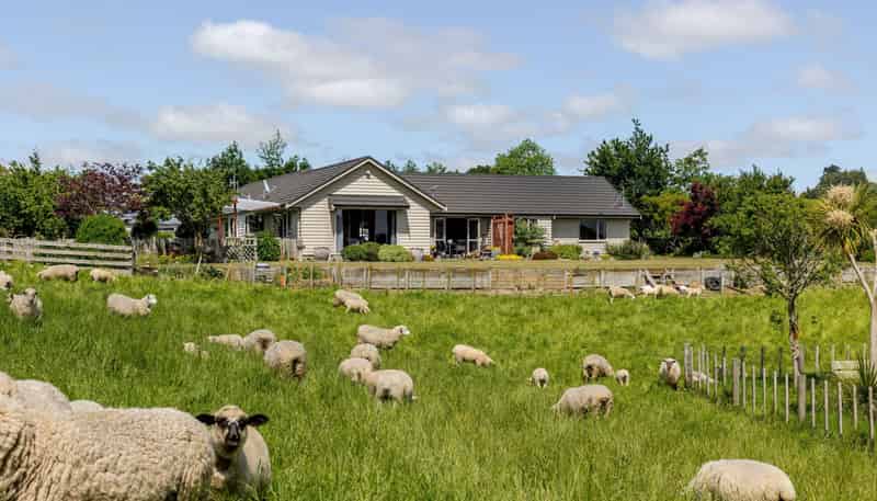 578 Sandon Road, Feilding