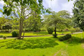 227 Whangamata Road, Kinloch